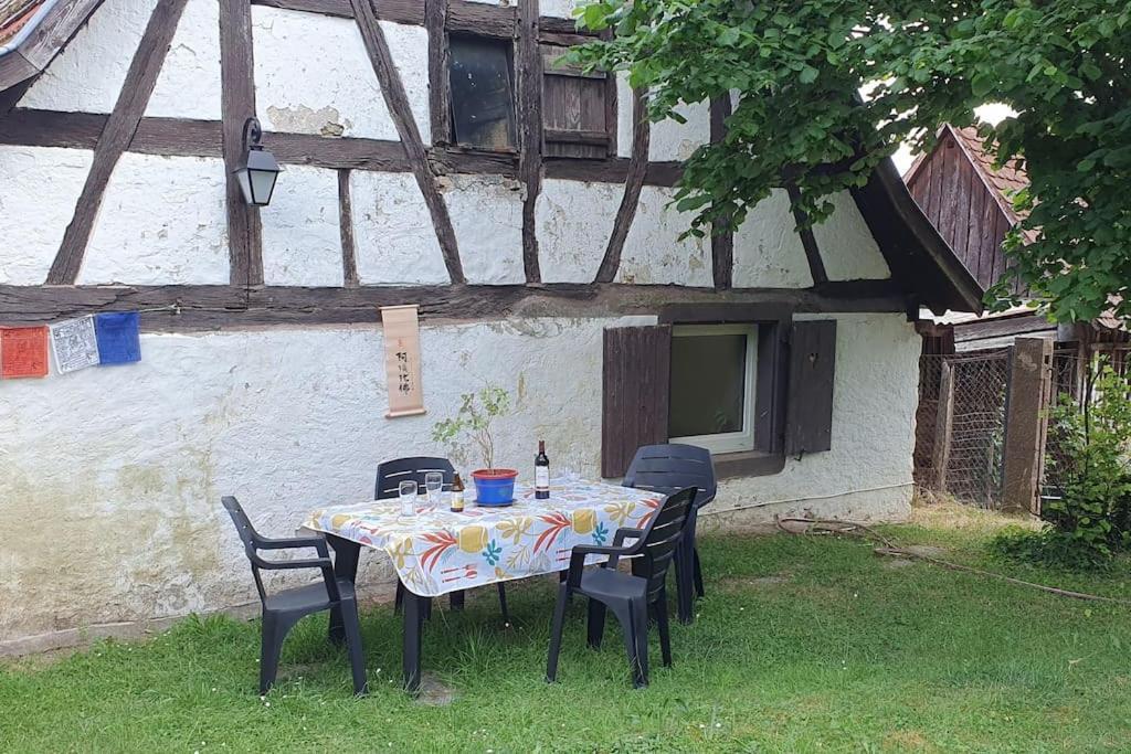 Le Berger Du Salzbach Villa Romanswiller Exterior photo